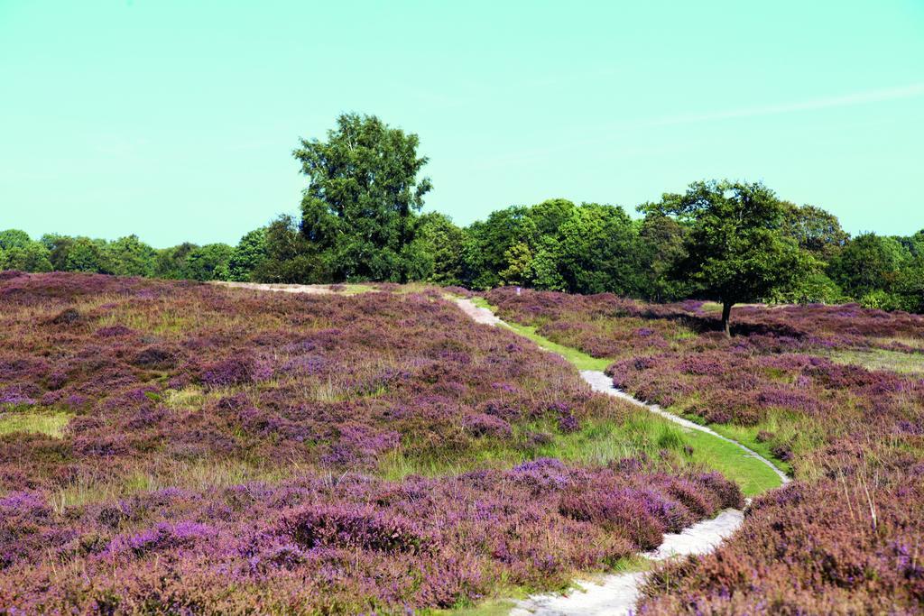 Villapark Akenveen Tynaarlo ภายนอก รูปภาพ